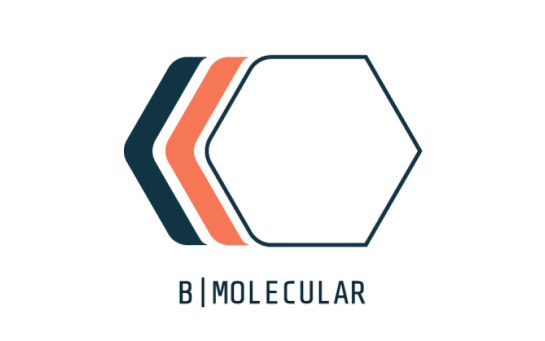 Logo Bmolecular