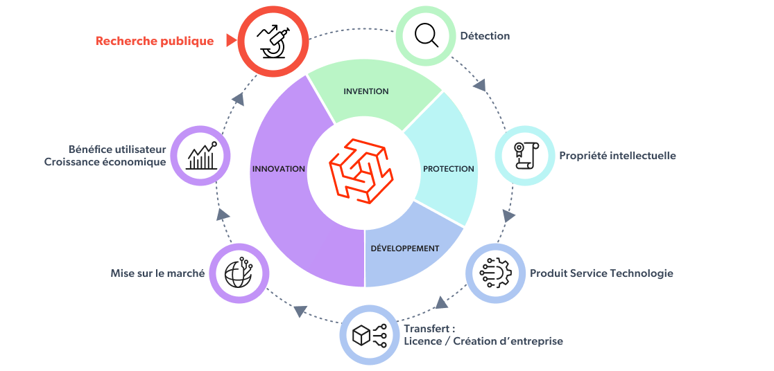 Étapes clés du processus de valorisation de la recherche et du transfert de technologie : détection, protection, développement (produit Service technologique), Transfert : licence / création d'entreprises, Mise sur le marché, Croissance économique, Recherche publique