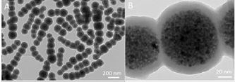 Vue microscope de nanochaine d'oxyde de fer superparamagnétiques anisotropes