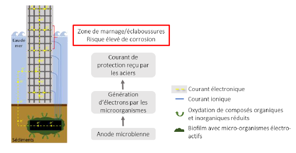 Schema technologieBioGalvaPRotect