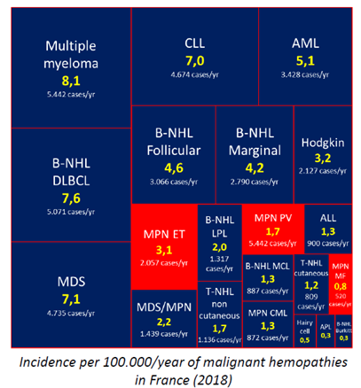 Schéma des incidences en onco-hématologies, diagnostic